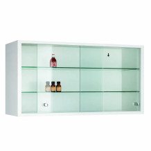 Závesná skriňa na lieky s presklenými dverami, WALLCAB M 500/1000/250 9010